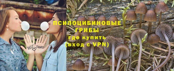 дживик Баксан